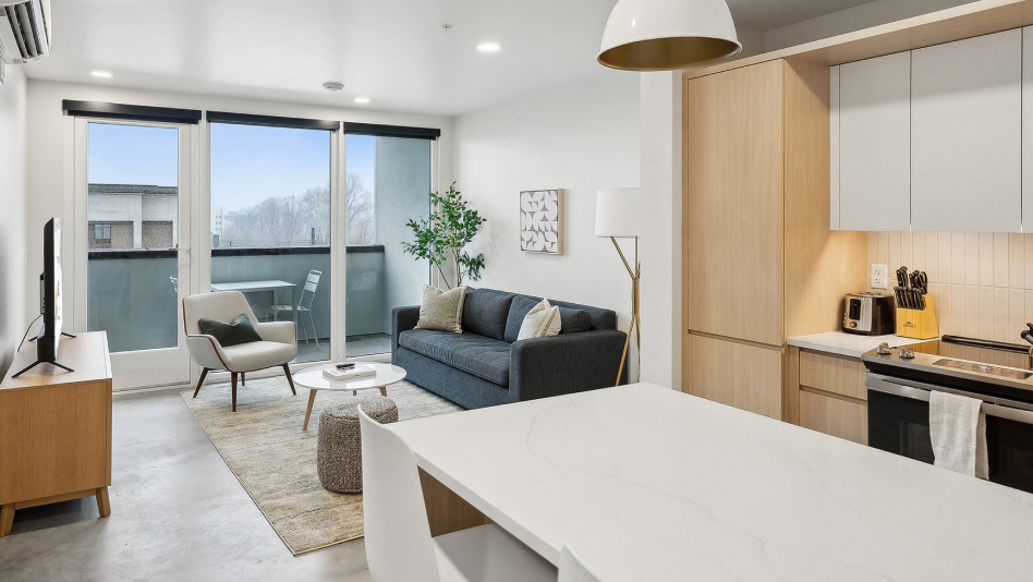 Living room and kitchen in one bedroom apartment